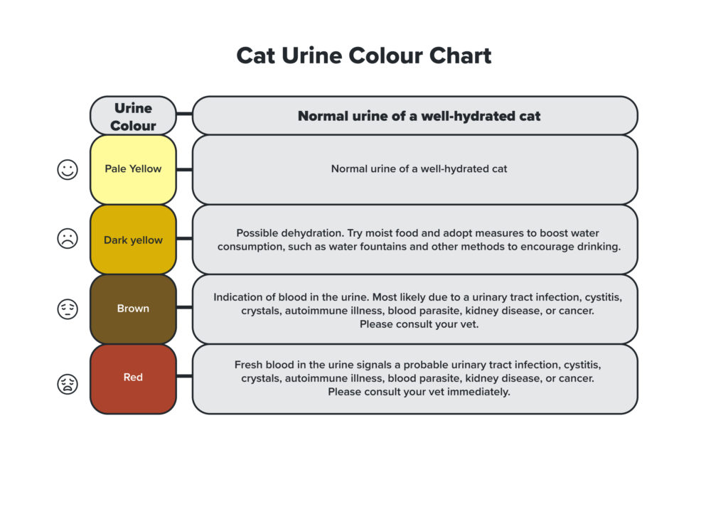 Cat Urine Colour Chart | Dotsure