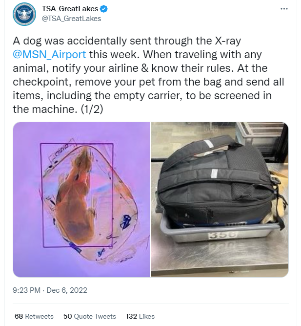 TSA find dog in luggage