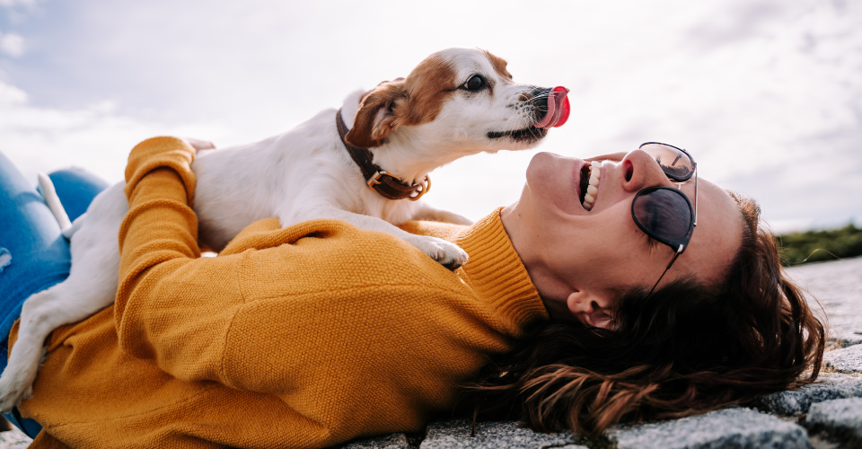 Pet Names The Cute Common Or Downright Strange Dotsure co za