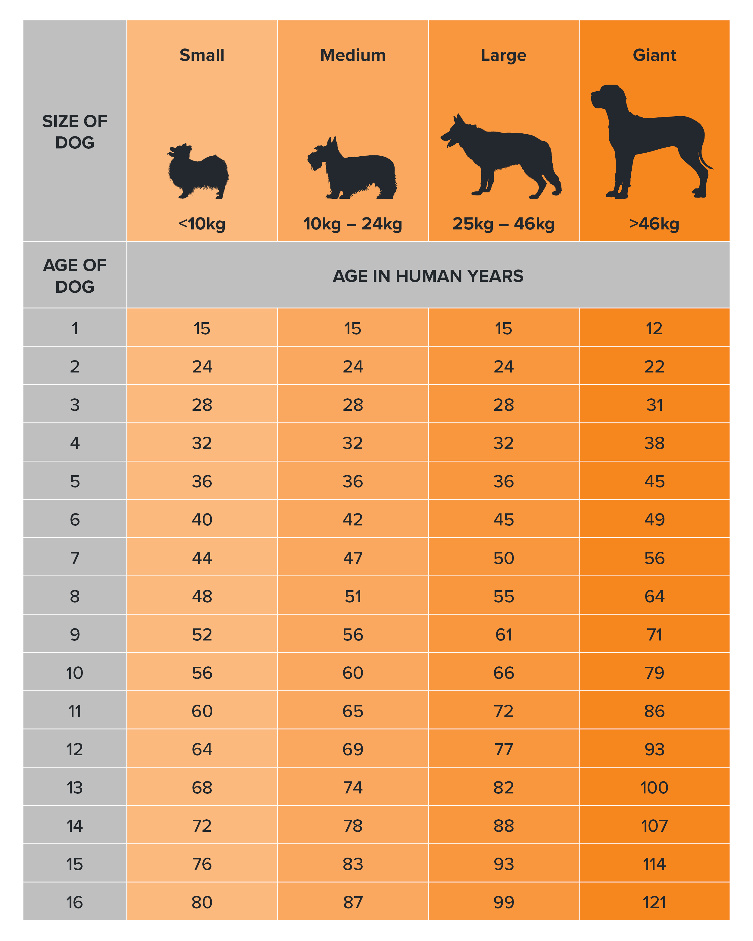 dog age chart